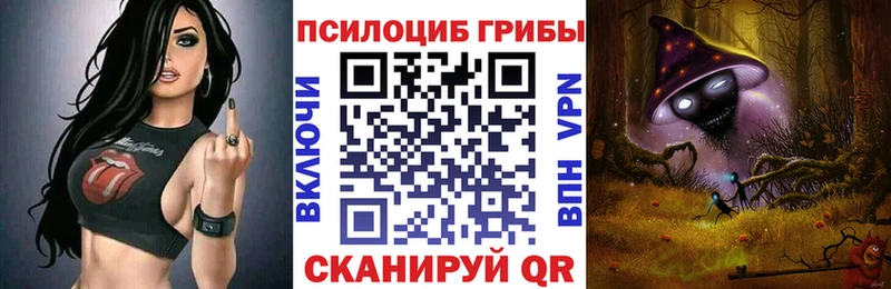 Псилоцибиновые грибы GOLDEN TEACHER  kraken сайт  Кремёнки 